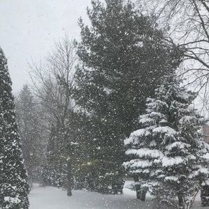 Meet your Posher, Heidi